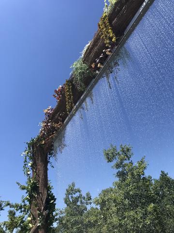 Rideau d'eau jardin d'acclimatation Paris